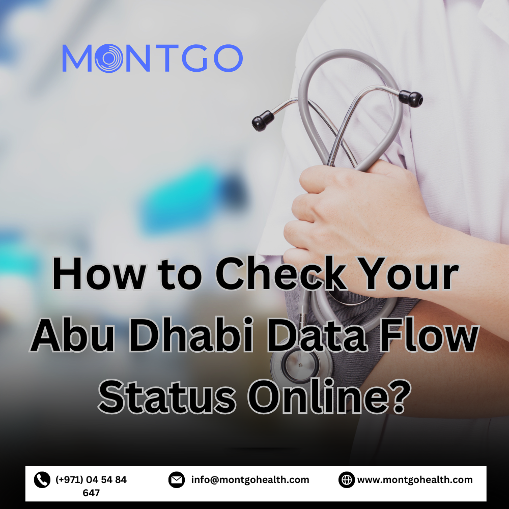 How to Check Your Abu Dhabi Data Flow Status Online?