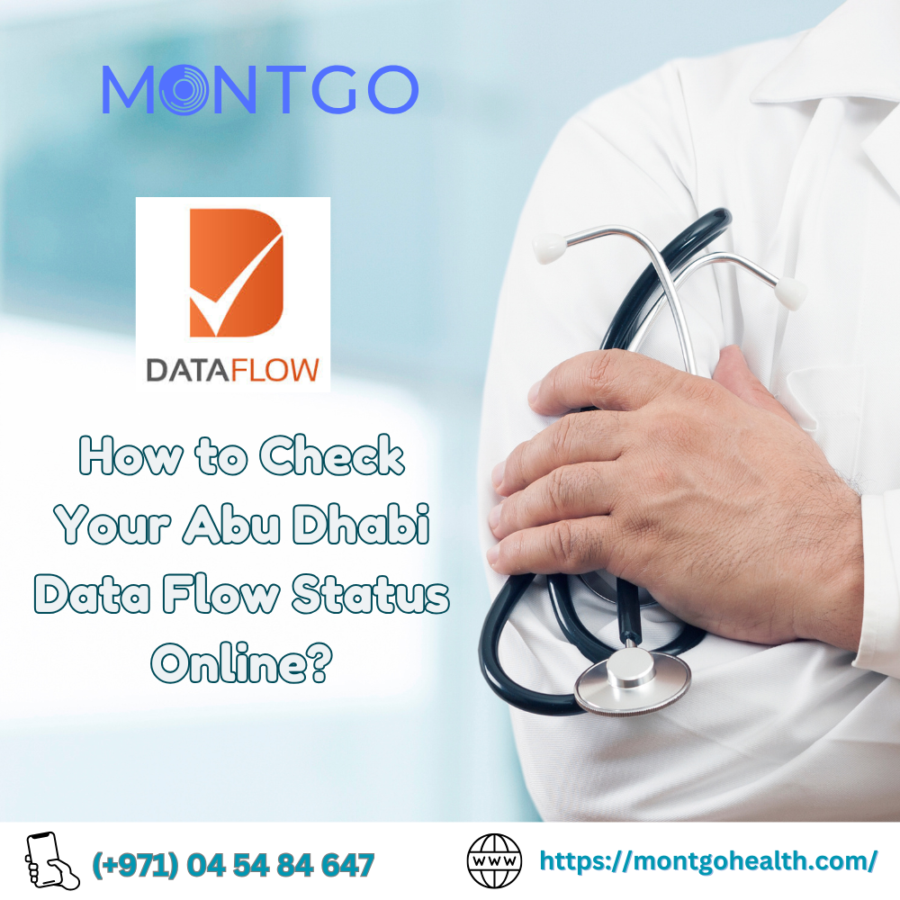 How to Check Your Abu Dhabi Data Flow Status Online?