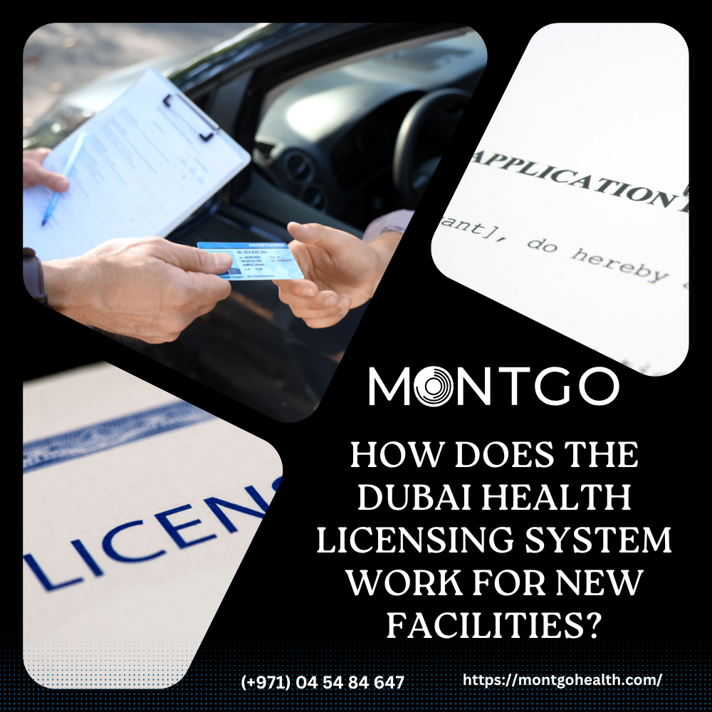 How Does the Dubai Health Licensing System Work for New Facilities?