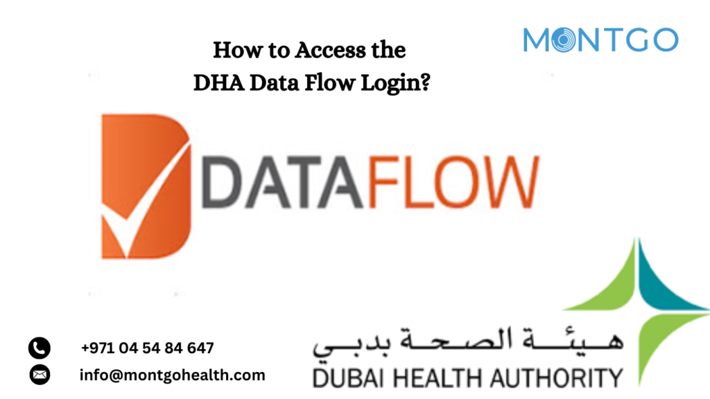 dha data flow login