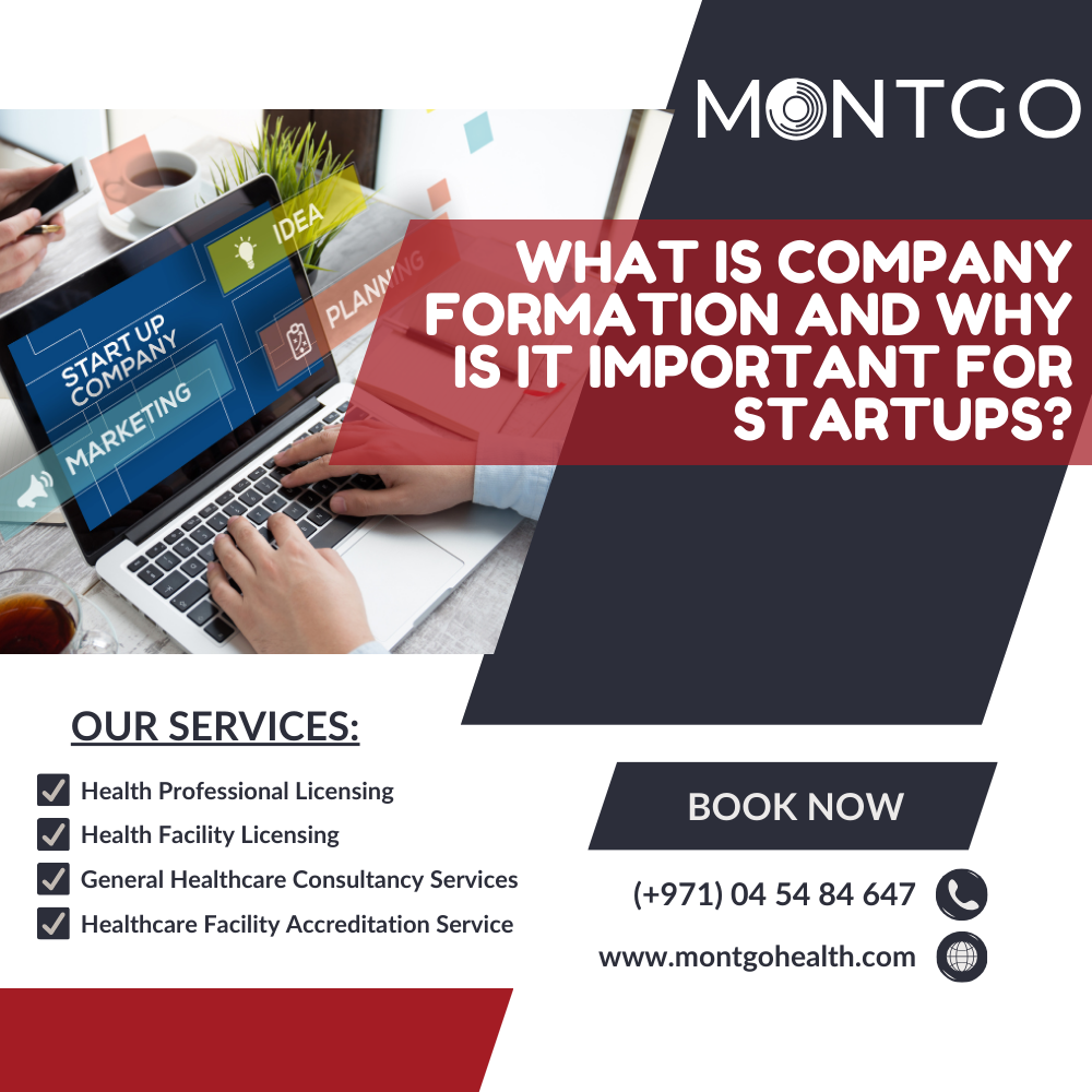 What Is Company Formation and Why Is It Important for Startups?