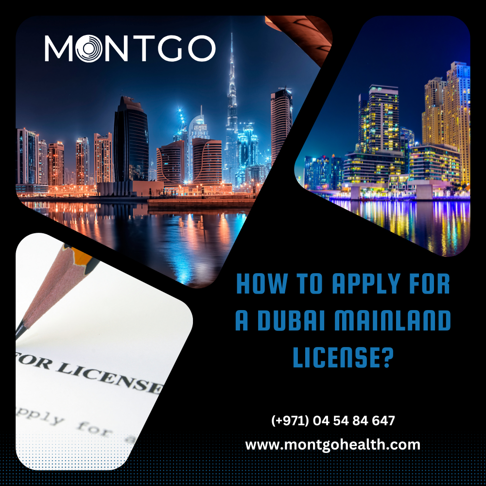 How to Apply for a Dubai Mainland License?