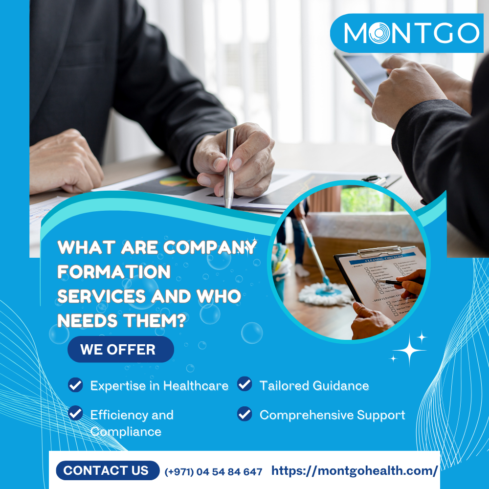 What Are Company Formation Services and Who Needs Them?