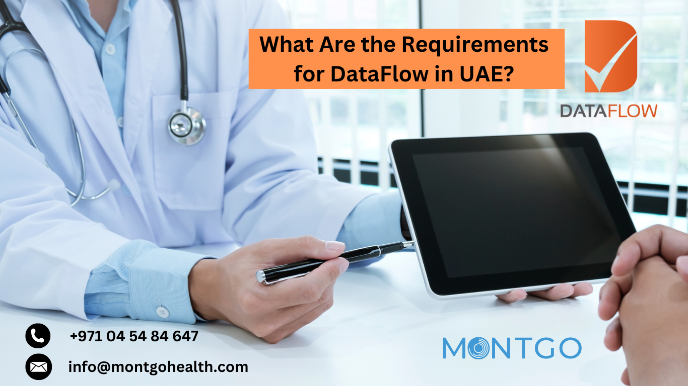 What Are the Requirements for DataFlow in UAE?