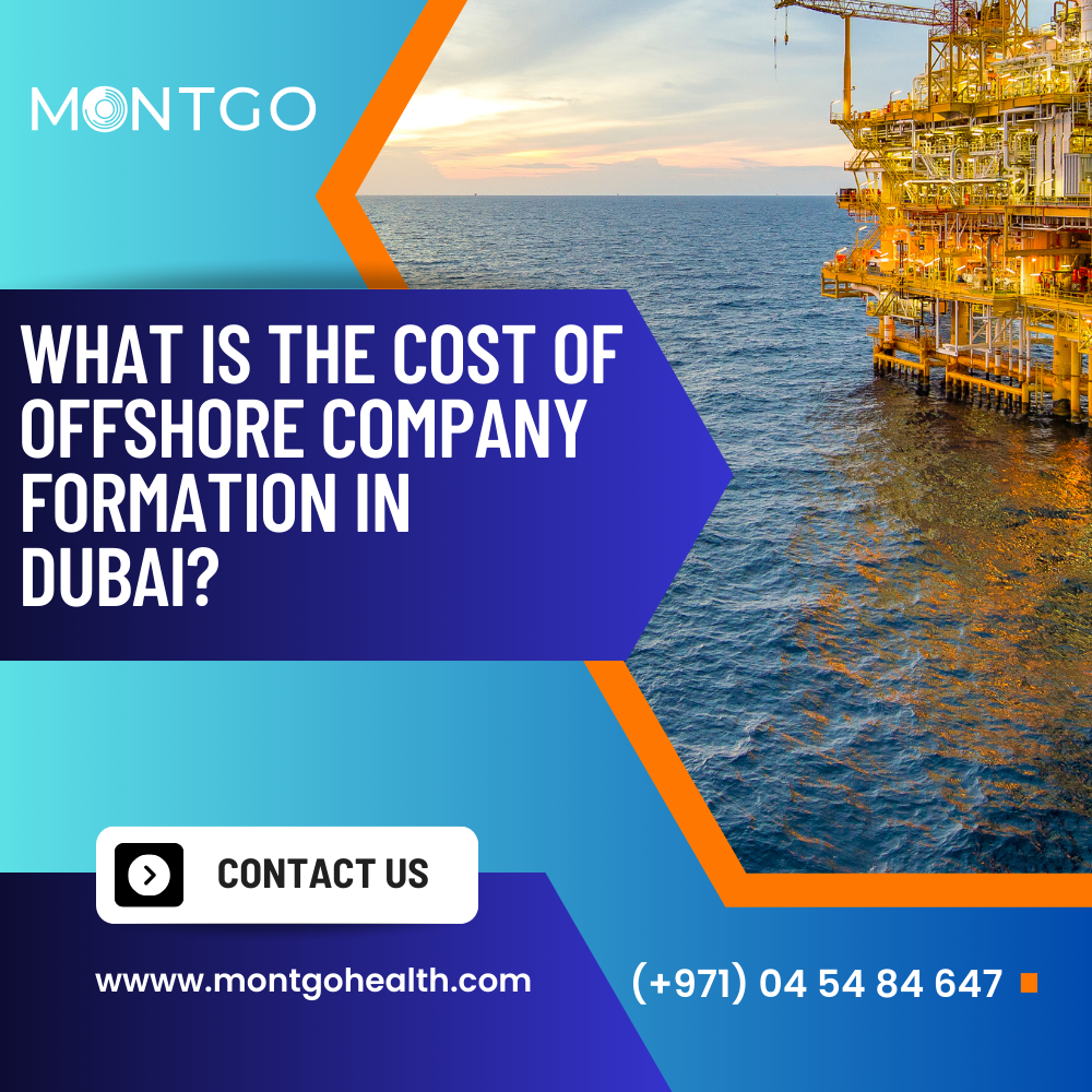 What Is the Cost of Offshore Company Set Up In Dubai?