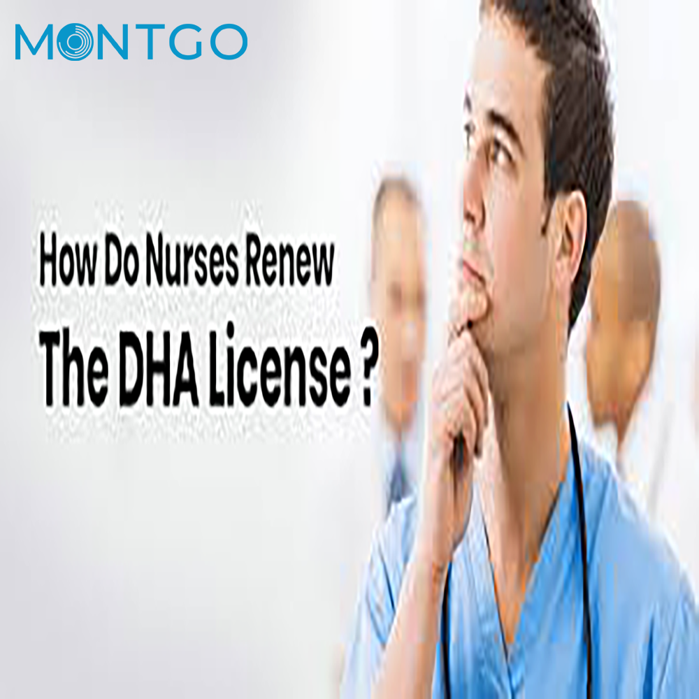 What Is the Process for DHA Licence Renewal?