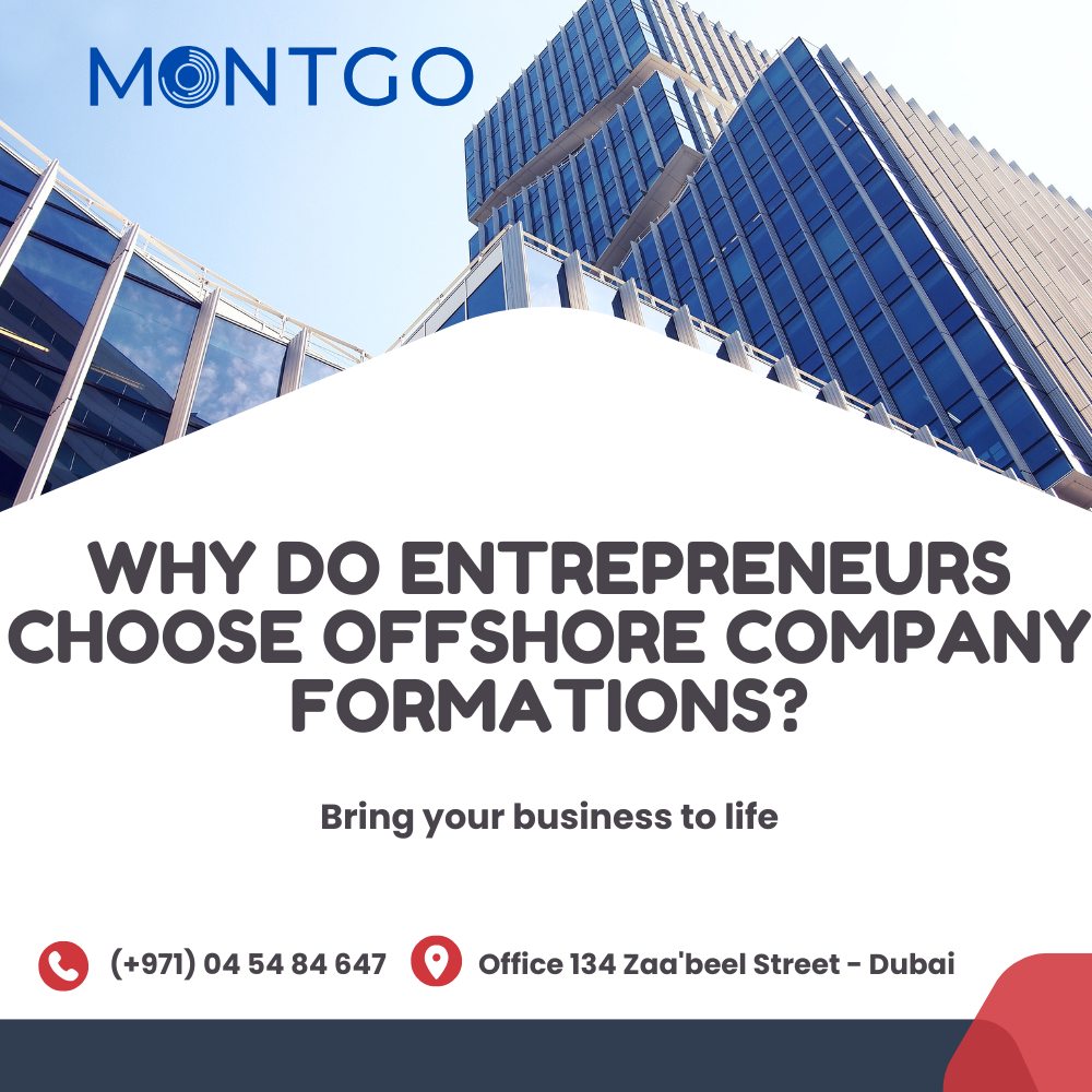 Why Do Entrepreneurs Choose Offshore Company Formations?