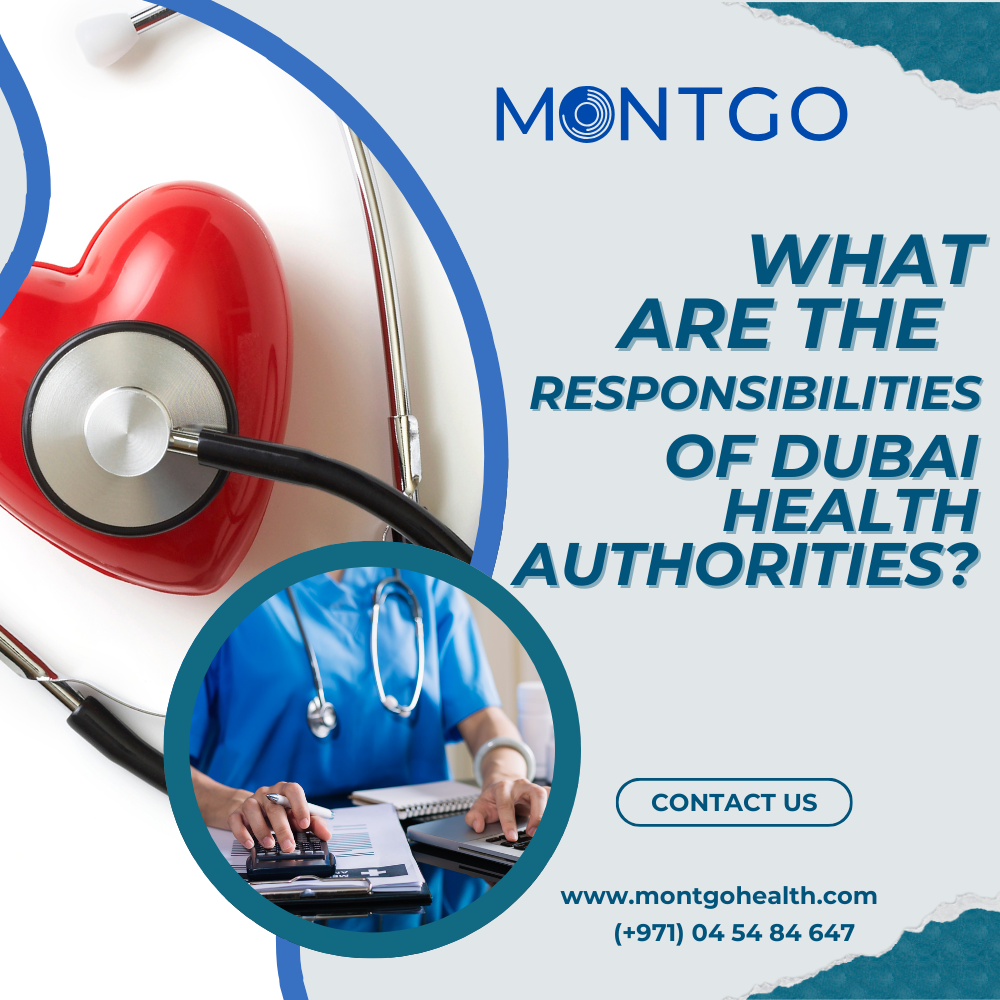 What Are the Responsibilities of Dubai Health Authorities?
